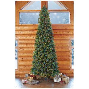 Pre-Lit 4.57m (15ft) Aspen Micro Dot LED Christmas Tree, 15401 tips, 7-Function